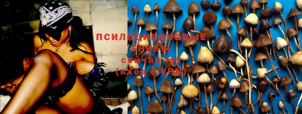 соль ск Зерноград
